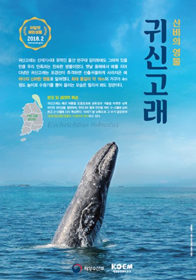 노컷뉴스