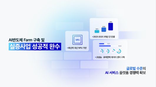 노컷뉴스