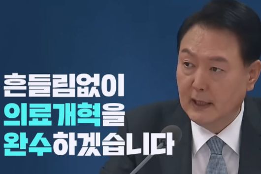 노컷뉴스