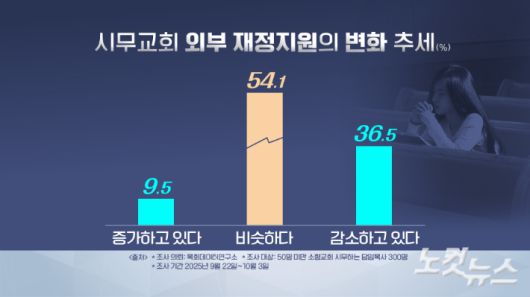 노컷뉴스