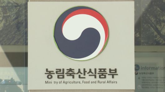 노컷뉴스