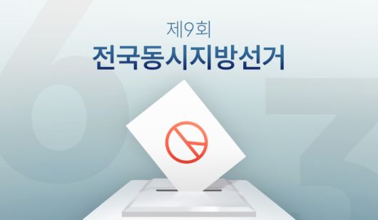 노컷뉴스