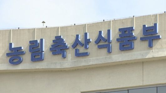 노컷뉴스
