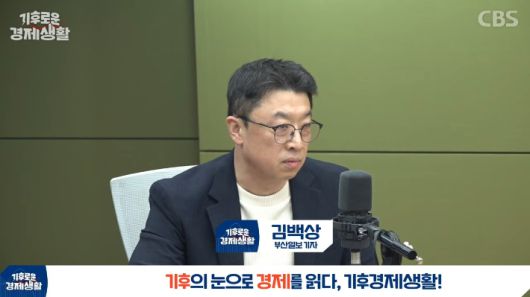노컷뉴스