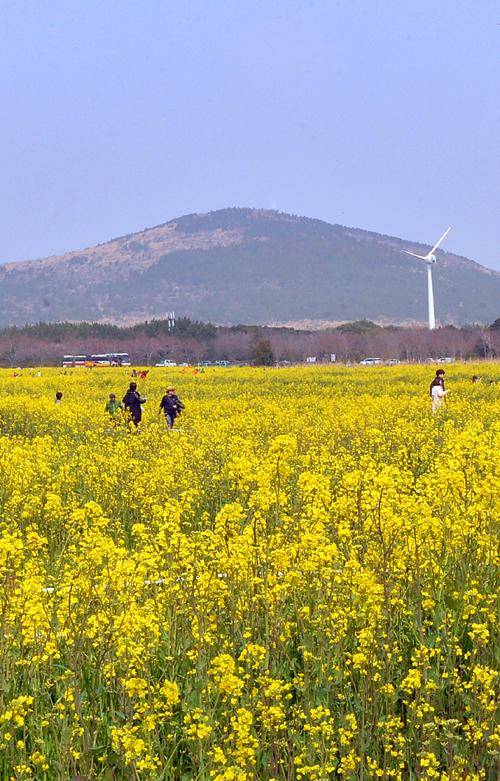 세계일보