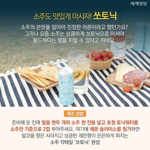 세계일보