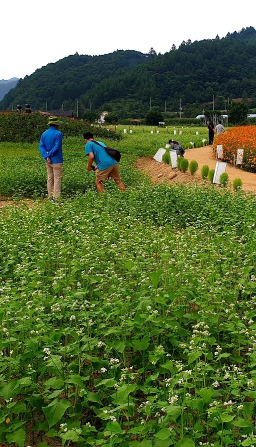 세계일보