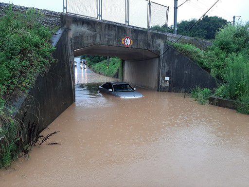 세계일보