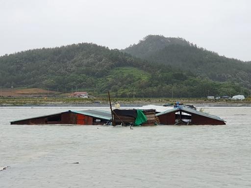 세계일보