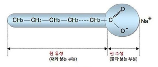 세계일보