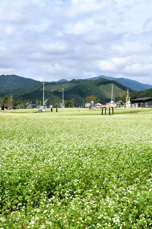 세계일보