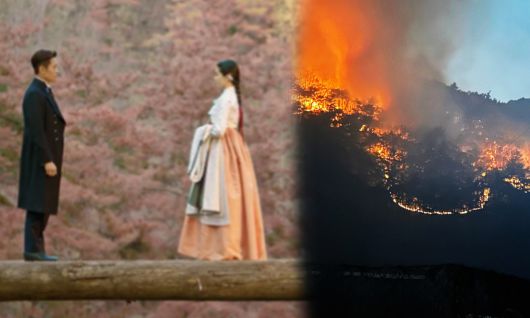 세계일보