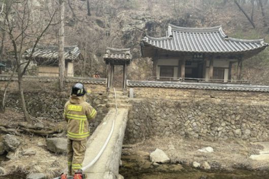 세계일보