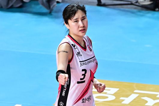 세계일보