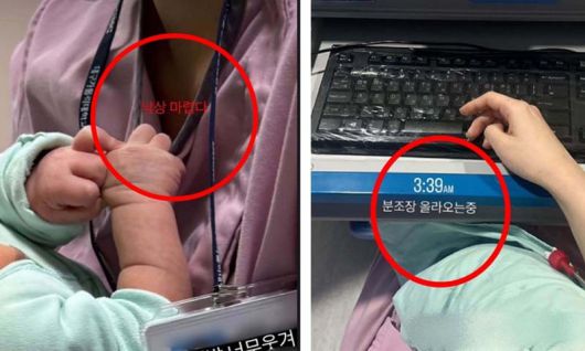 세계일보