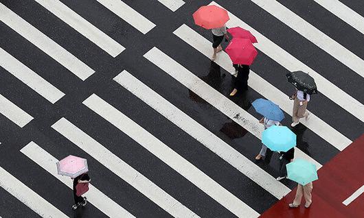 세계일보