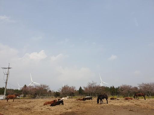 스포츠월드