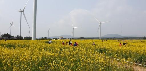 스포츠월드