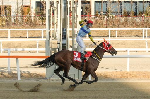 스포츠월드