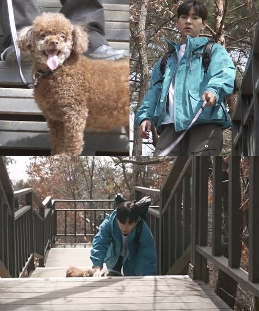 스포츠월드