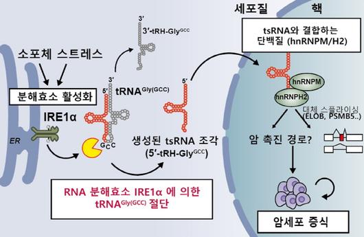 메트로신문사