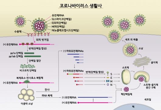 이코노믹리뷰