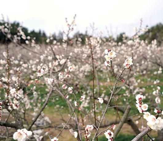 동아일보