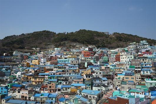 동아일보