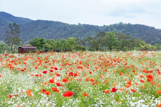 동아일보