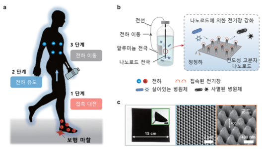 동아일보