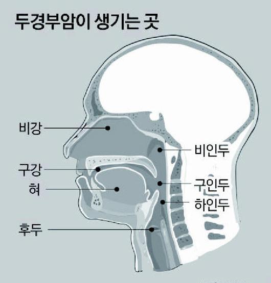 동아일보