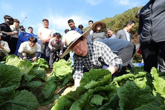 동아일보