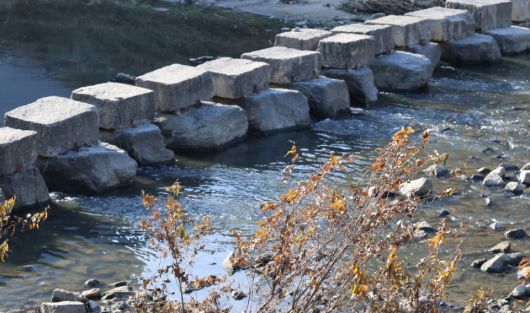 디지털포스트(PC사랑)