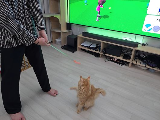 디지털포스트(PC사랑)