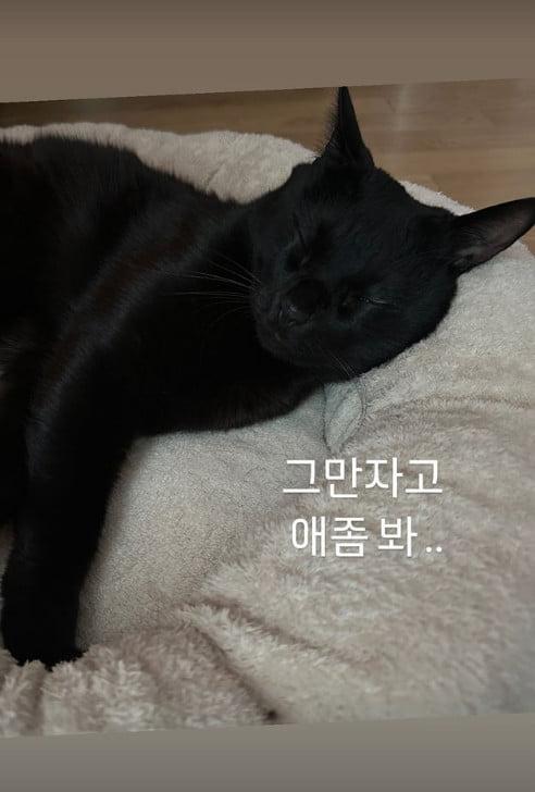 텐아시아