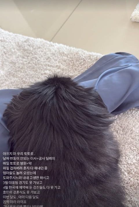 텐아시아