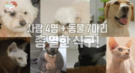 텐아시아