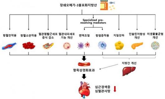 이투데이