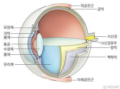 아이티투데이