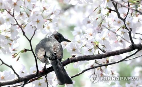 연합포토