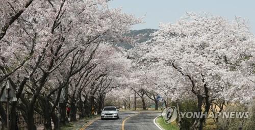 연합포토