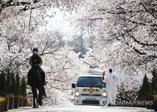 연합포토