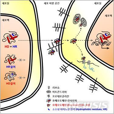 뉴시스