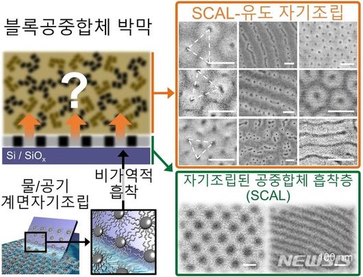 뉴시스