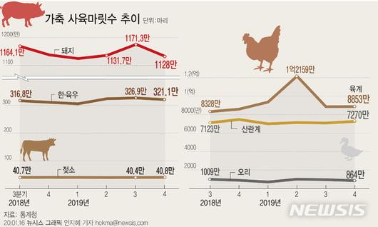 뉴시스