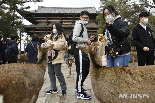 뉴시스