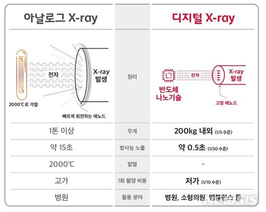 뉴시스