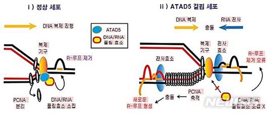 뉴시스