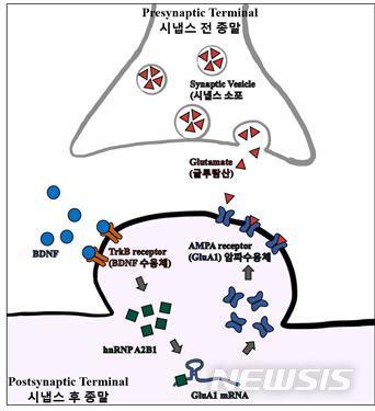 뉴시스