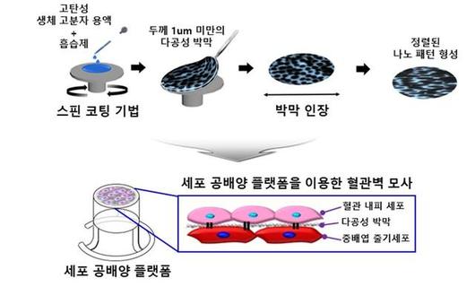 뉴시스